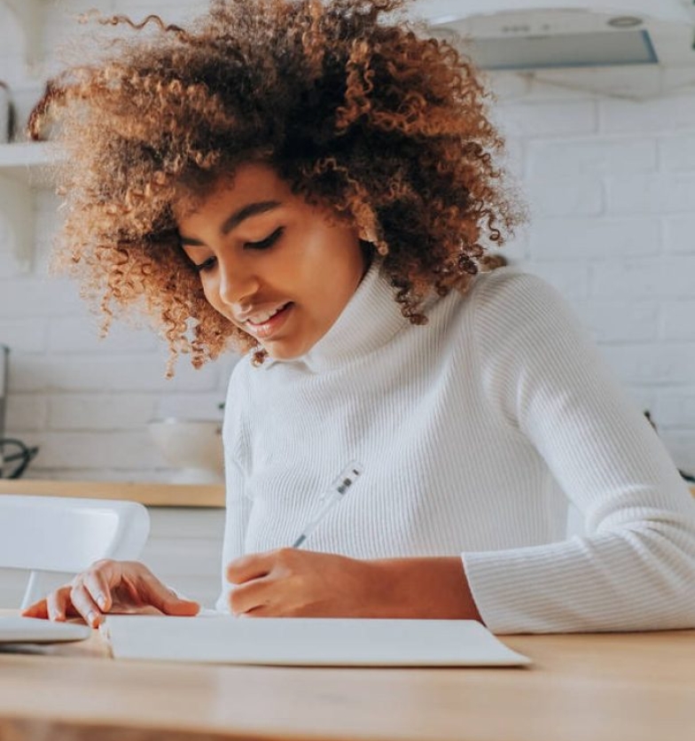 Netraffics-IT Audit Services-02