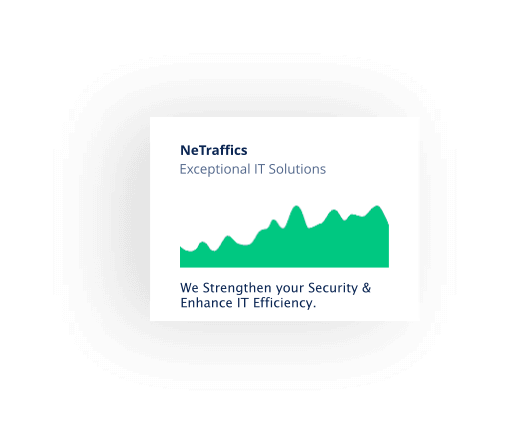 Netraffics_who-we-are